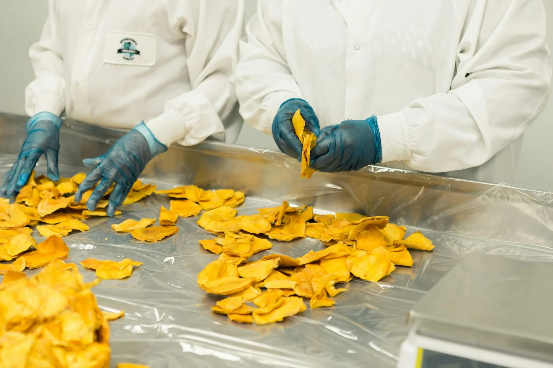 Gloved hands handling food on a hygienic production surface